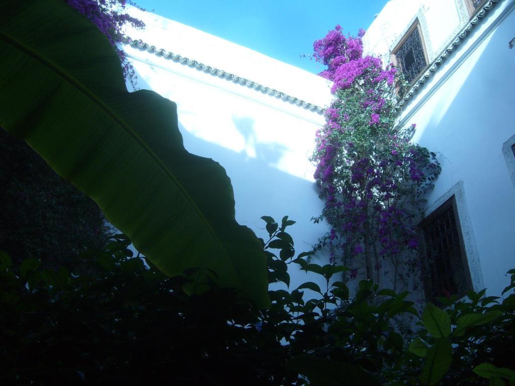 Riad Jenai L'Authentique Marrakesh Exterior photo